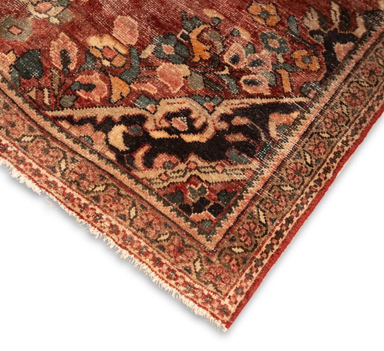 DSC00770-Edit_2_11zon 10 - Image 5