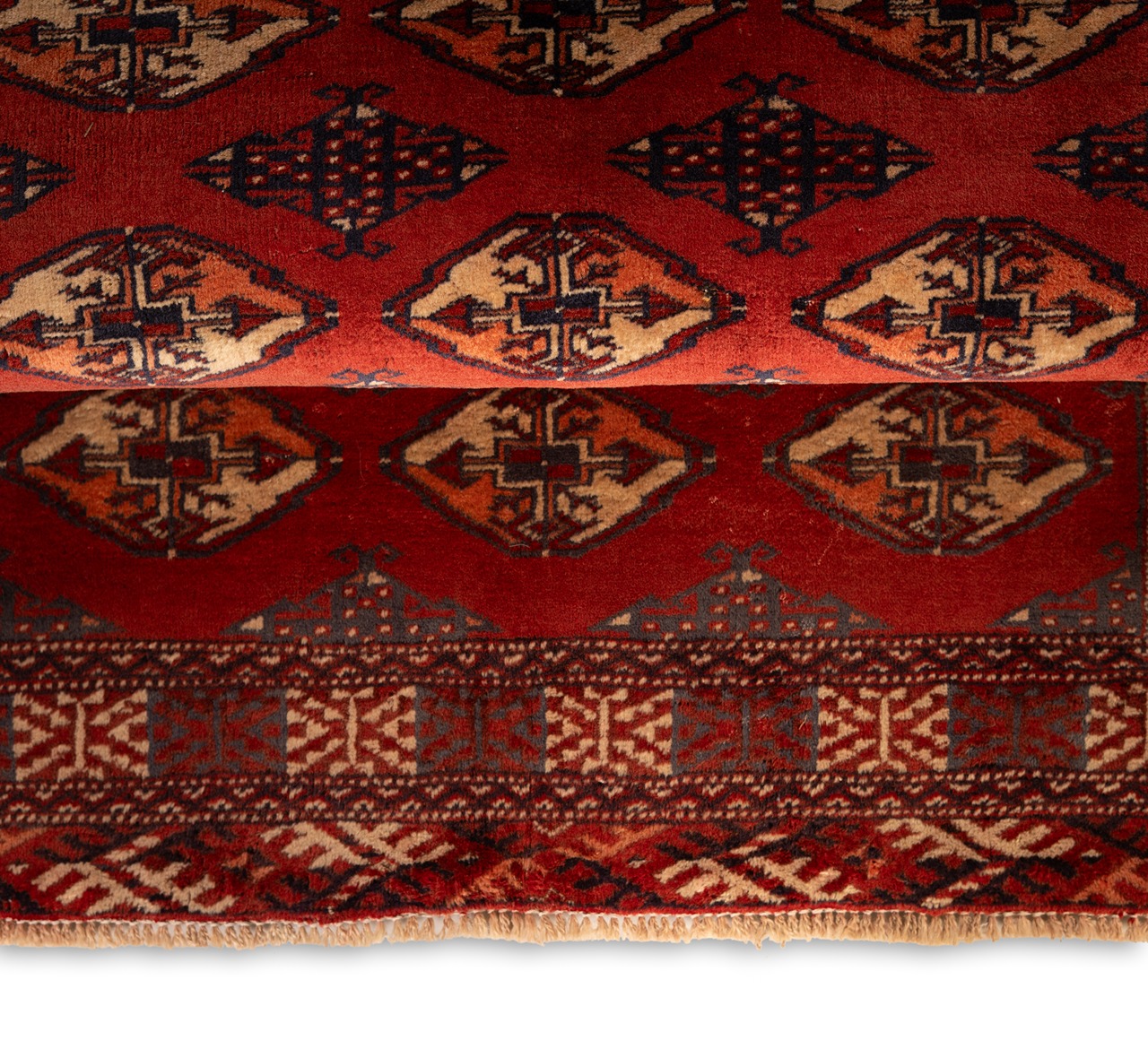 DSC00804-Edit_2_11zon Gabbeh Giza - Yellow (Copy) (Copy) (Copy) (Copy) - Image 8