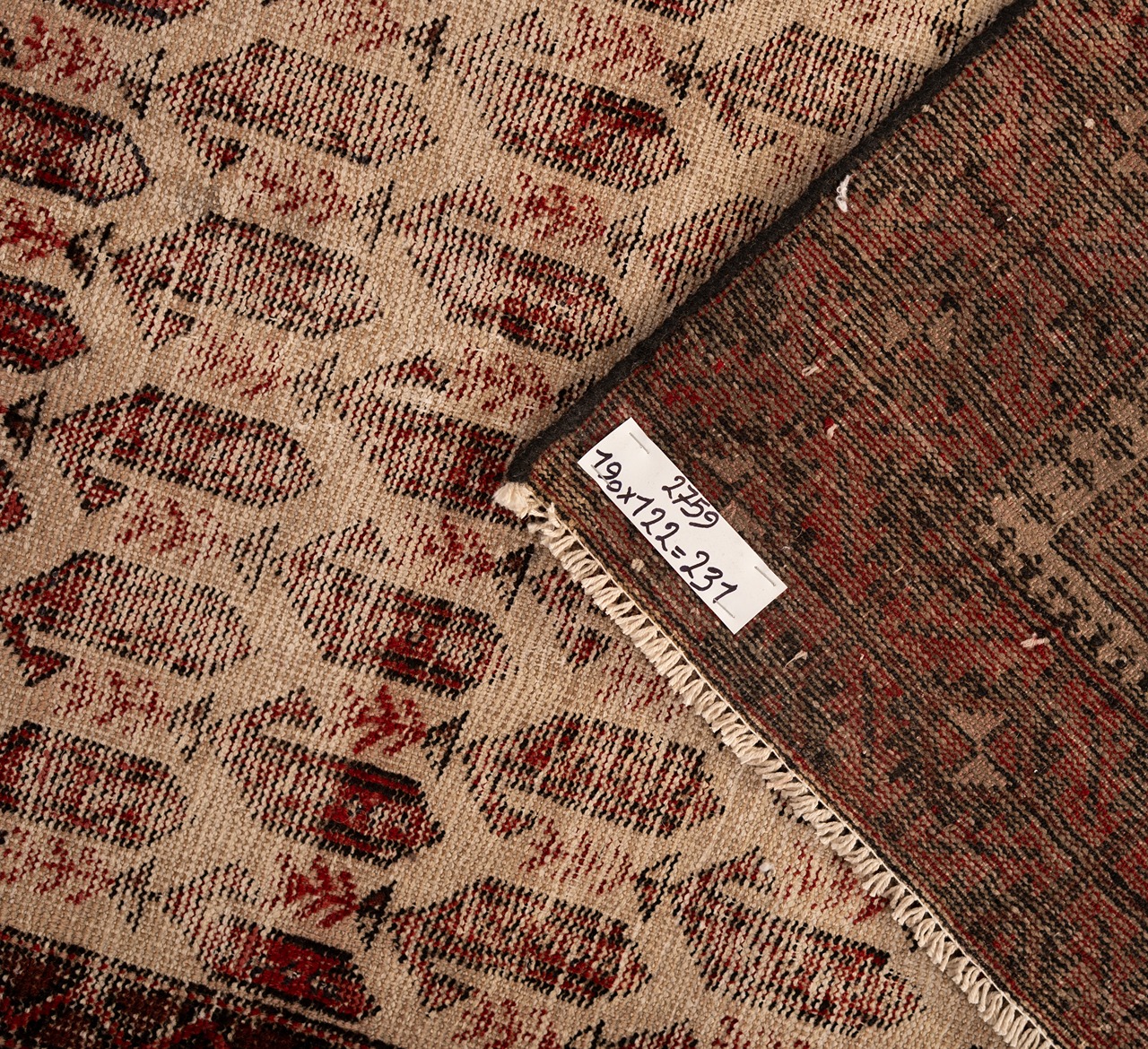 DSC00843-Edit_4_11zon Gabbeh Giza - Yellow (Copy) (Copy) (Copy) (Copy) - Image 4