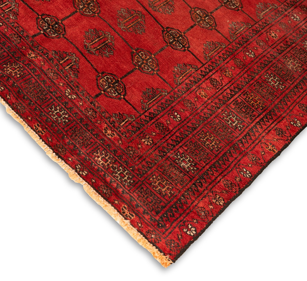 DSC00870-Edit_2_11zon Gabbeh Giza - Yellow (Copy) (Copy) (Copy) (Copy) - Image 3