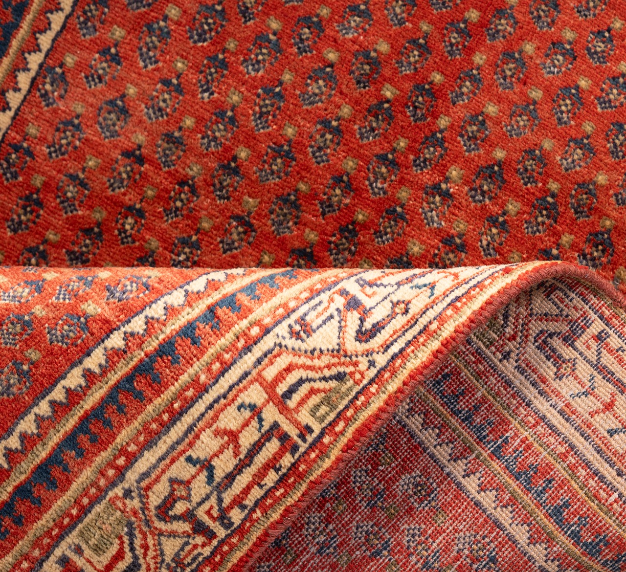 DSC00933-Edit_2_11zon Gabbeh Giza - Yellow (Copy) (Copy) (Copy) (Copy) - Image 4