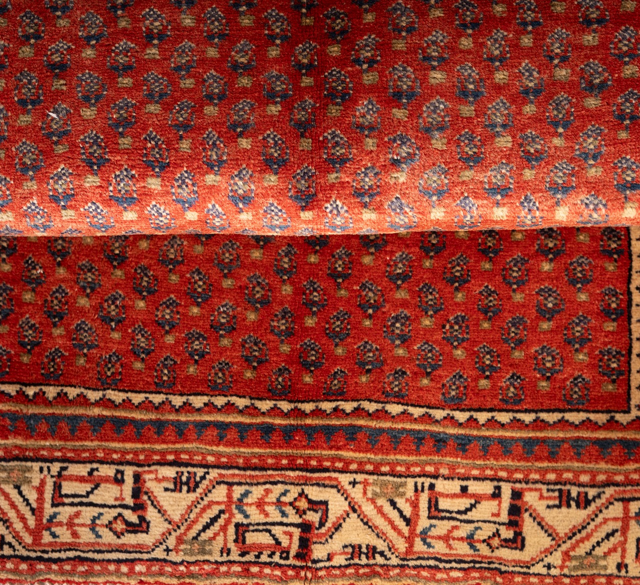 DSC00937-Edit_3_11zon Gabbeh Giza - Yellow (Copy) (Copy) (Copy) (Copy) - Image 3