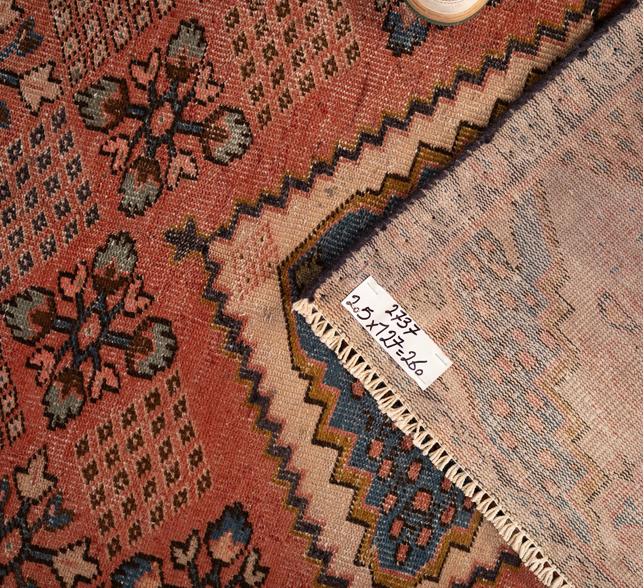 DSC01066-Edit_4_11zon Gabbeh Giza - Yellow (Copy) (Copy) (Copy) (Copy) - Image 4