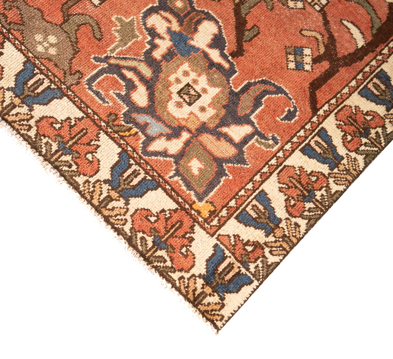 DSC01082-Edit_2_11zon Gabbeh Giza - Yellow (Copy) (Copy) (Copy) (Copy) - Image 3