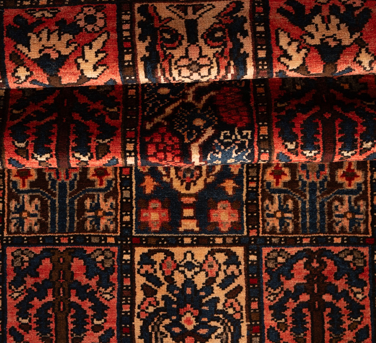 DSC01107-Edit_4_11zon Gabbeh Giza - Yellow (Copy) (Copy) - Image 4