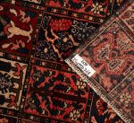 Gabbeh Giza - Yellow (Copy) (Copy) - Image 5