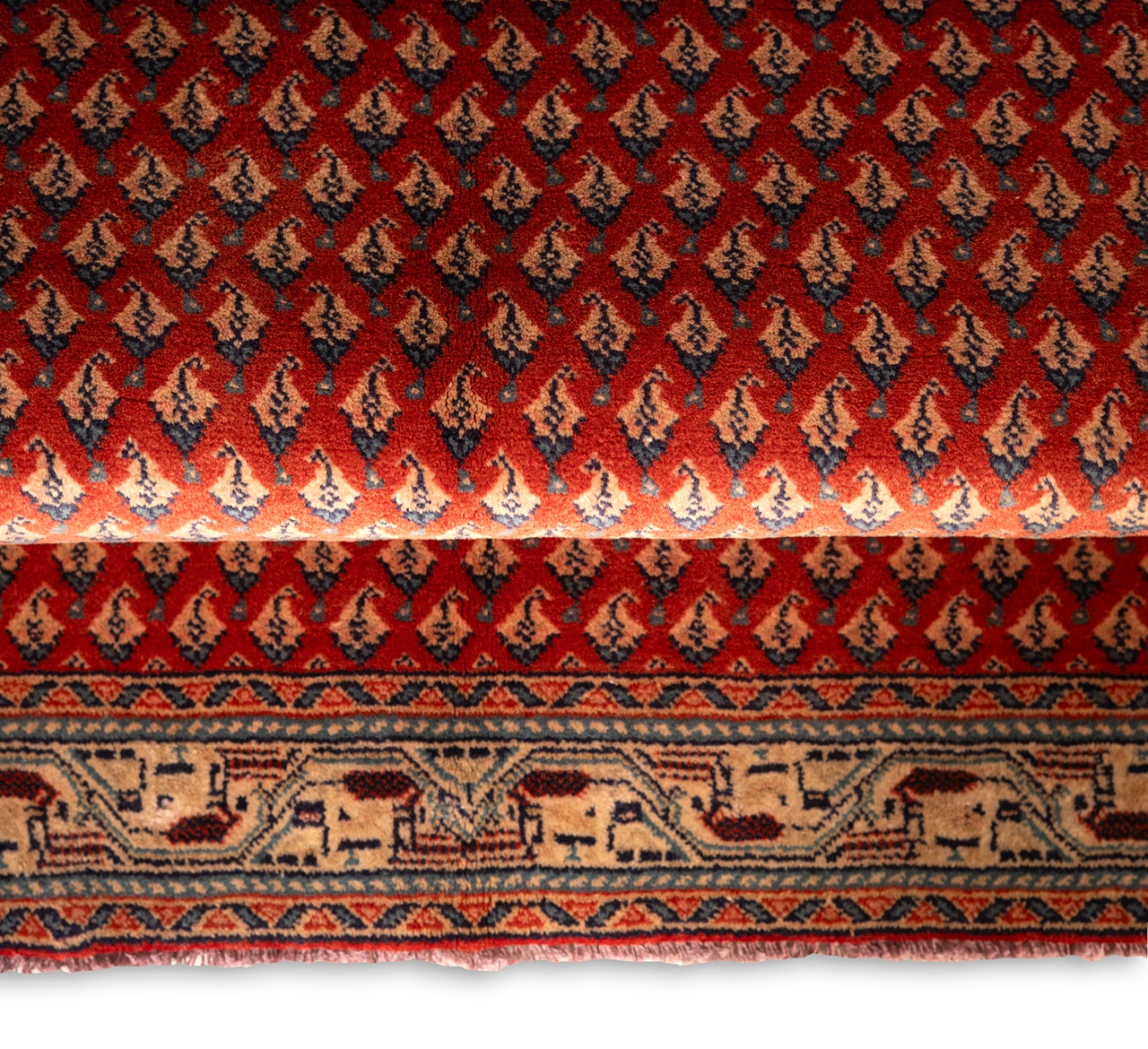 DSC01115-Edit_3_11zon Gabbeh Giza - Yellow (Copy) (Copy) - Image 3