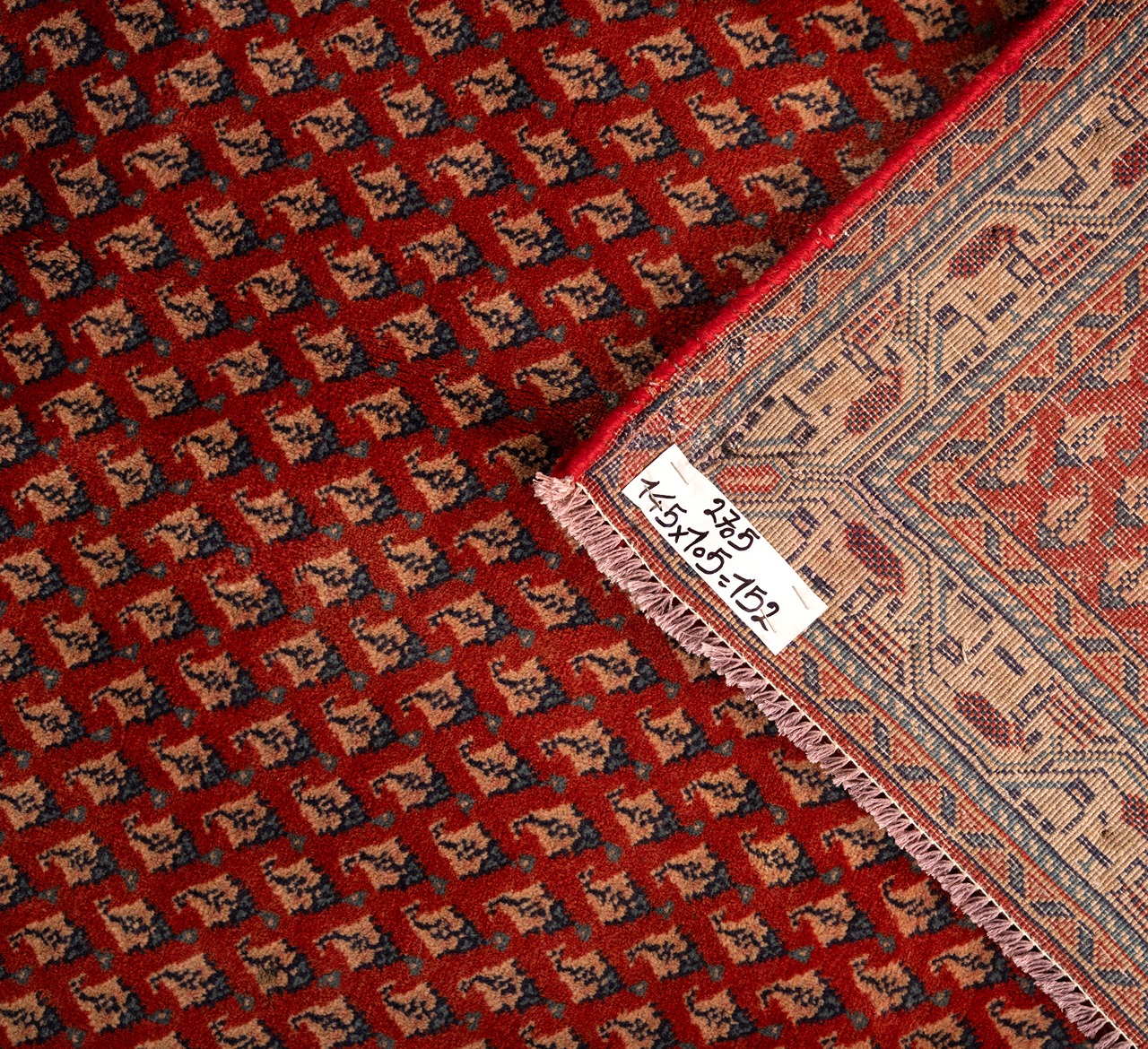 DSC01116-Edit_4_11zon Gabbeh Giza - Yellow (Copy) (Copy) - Image 4