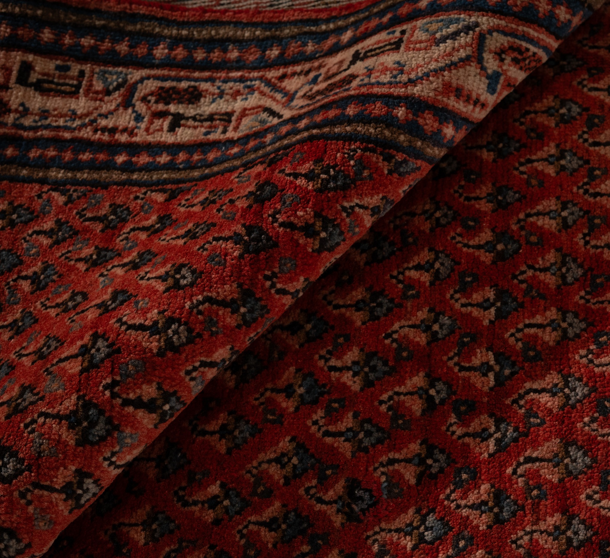 DSC09579-Edit-2_2_11zon Nain Florentine | Dark Blue | Rug (Copy) - Image 4