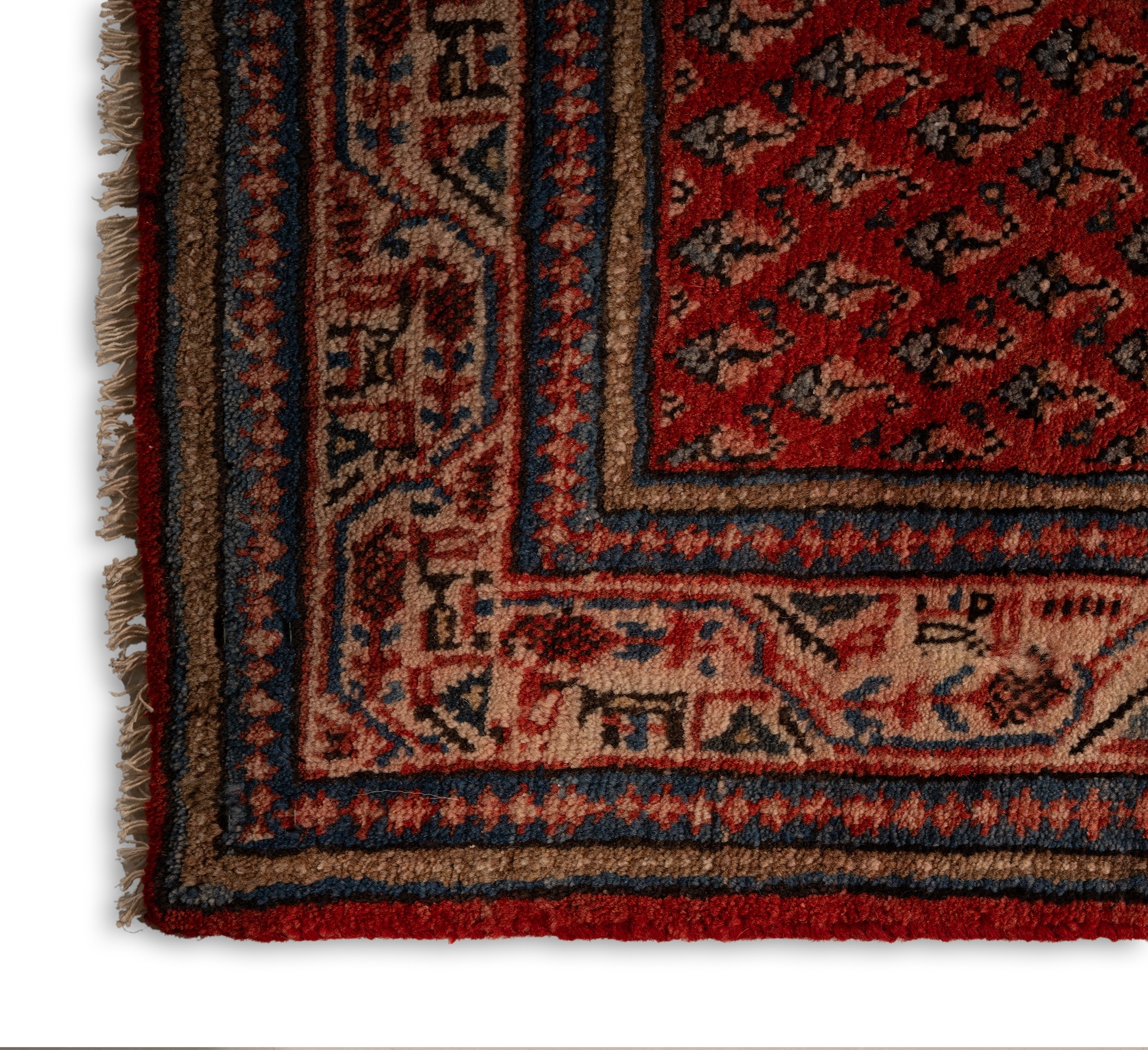 DSC09580-Edit-2_3_11zon Nain Florentine | Dark Blue | Rug (Copy) - Image 3
