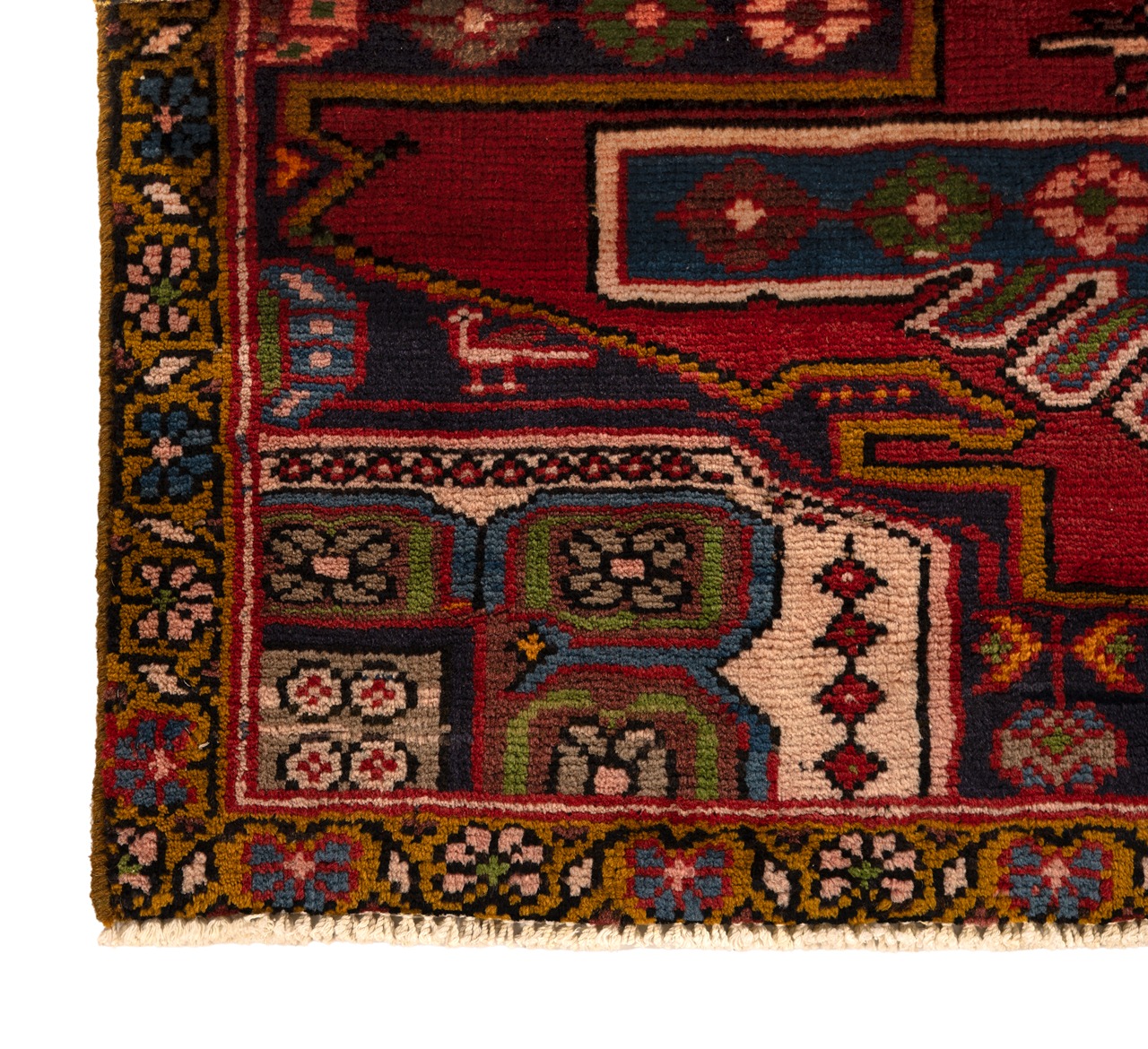 DSC09609-Edit_3_11zon Nain Florentine | Dark Blue | Rug (Copy) - Image 5