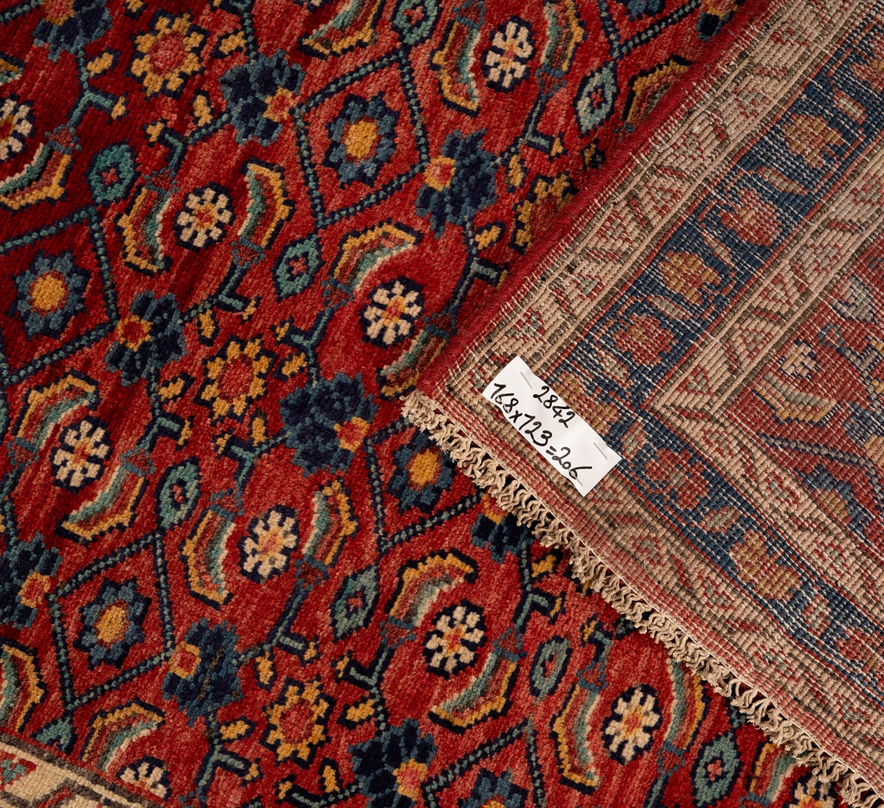 DSC09659-Edit_4_11zon Nain Florentine | Dark Blue | Rug (Copy) - Image 5