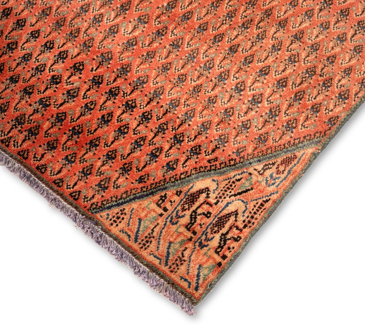 DSC09746-Edit_2_11zon Gabbeh Giza - Yellow (Copy) - Image 4