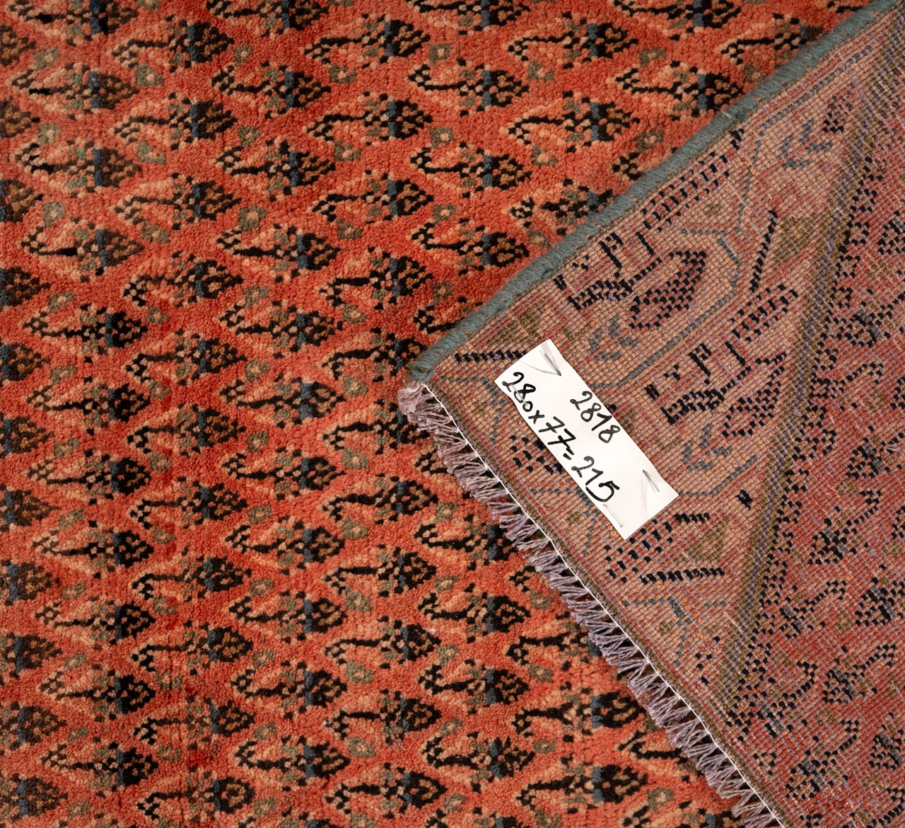 DSC09752-Edit_4_11zon Gabbeh Giza - Yellow (Copy) - Image 2